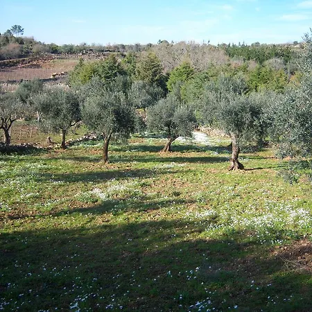 The House Bed & Breakfast Penela